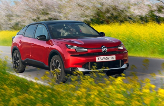 Citroën Klímatisztítás
