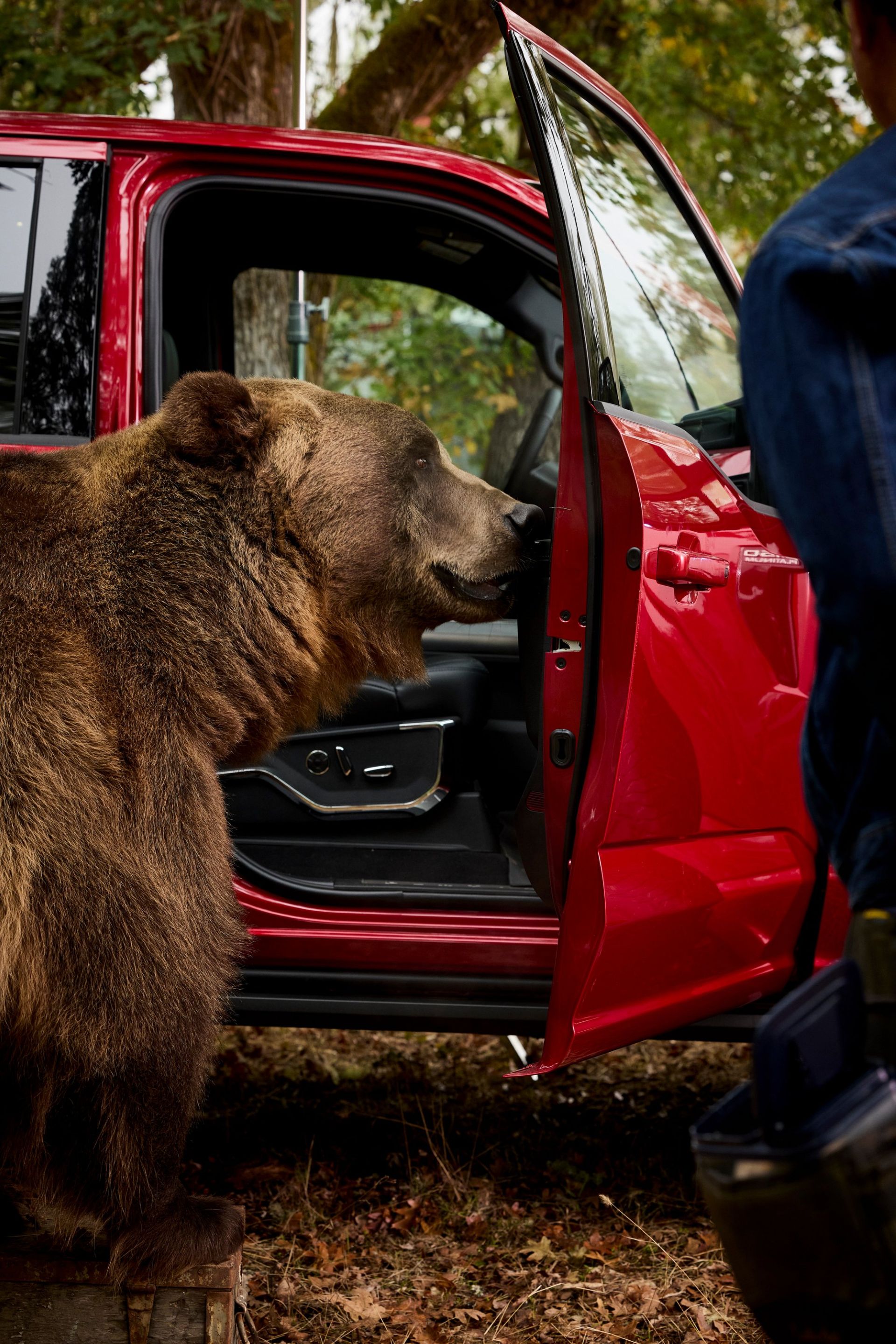 ford-bear-security-carnet-hir-5