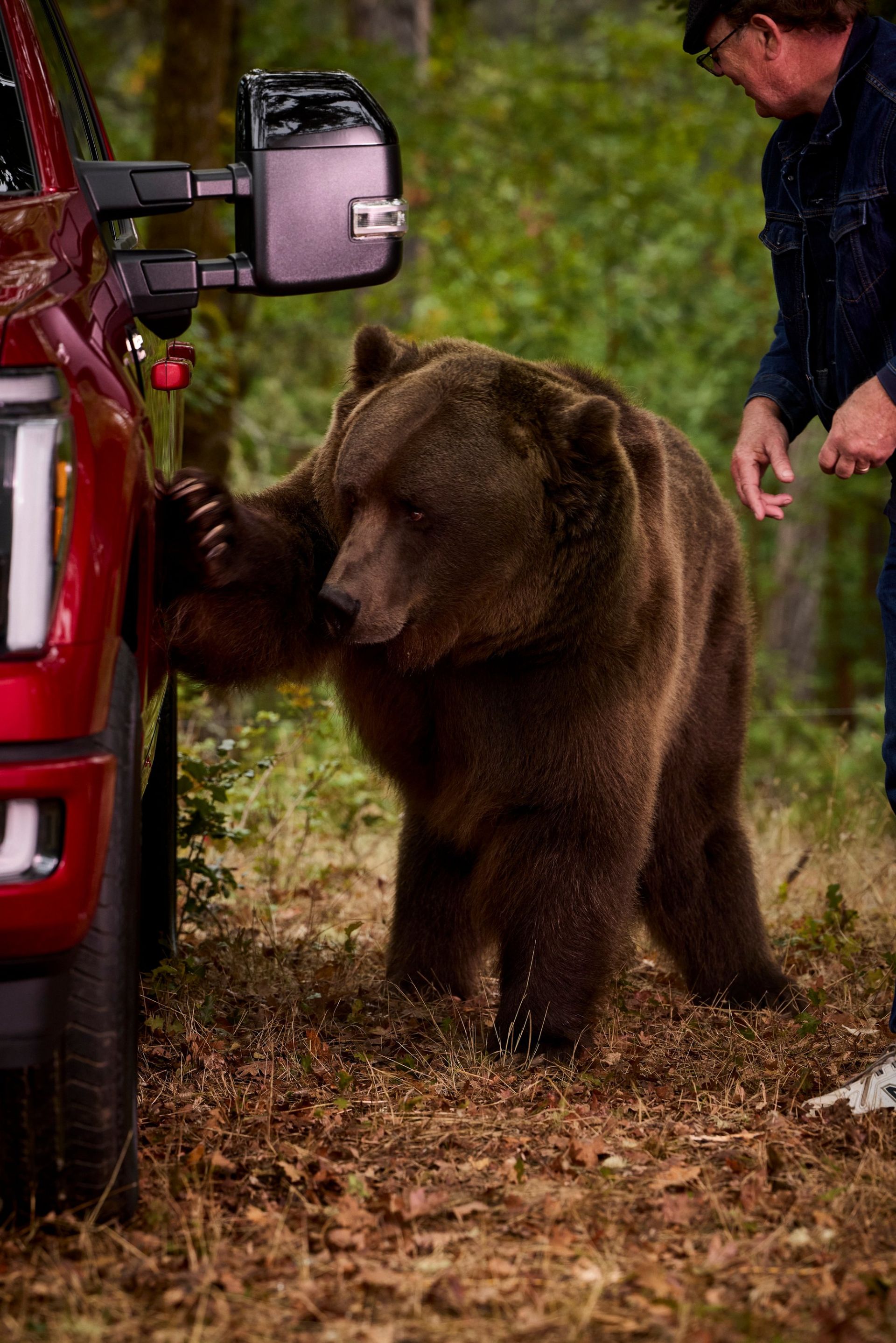 ford-bear-security-carnet-hir
