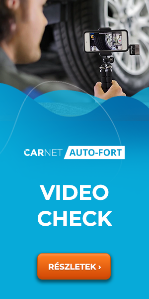auto-fort-video-check