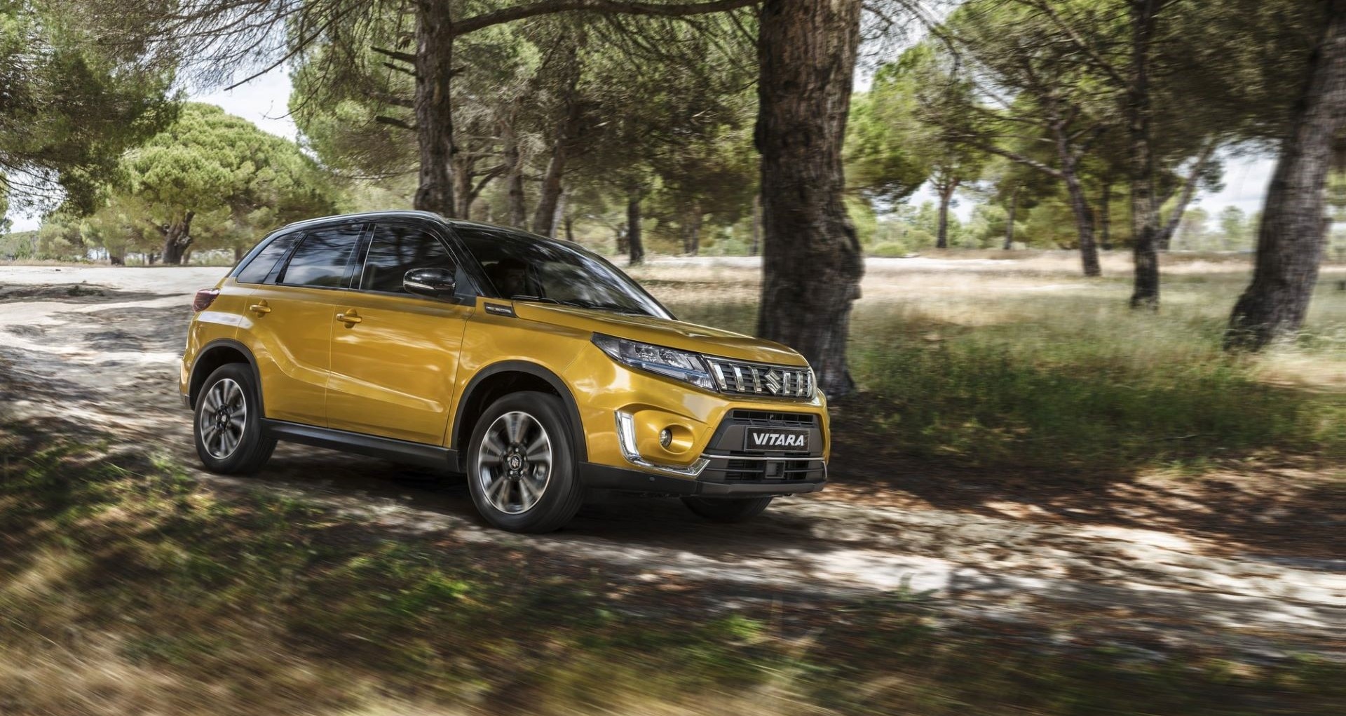 suzuki-vitara-carnet-hir