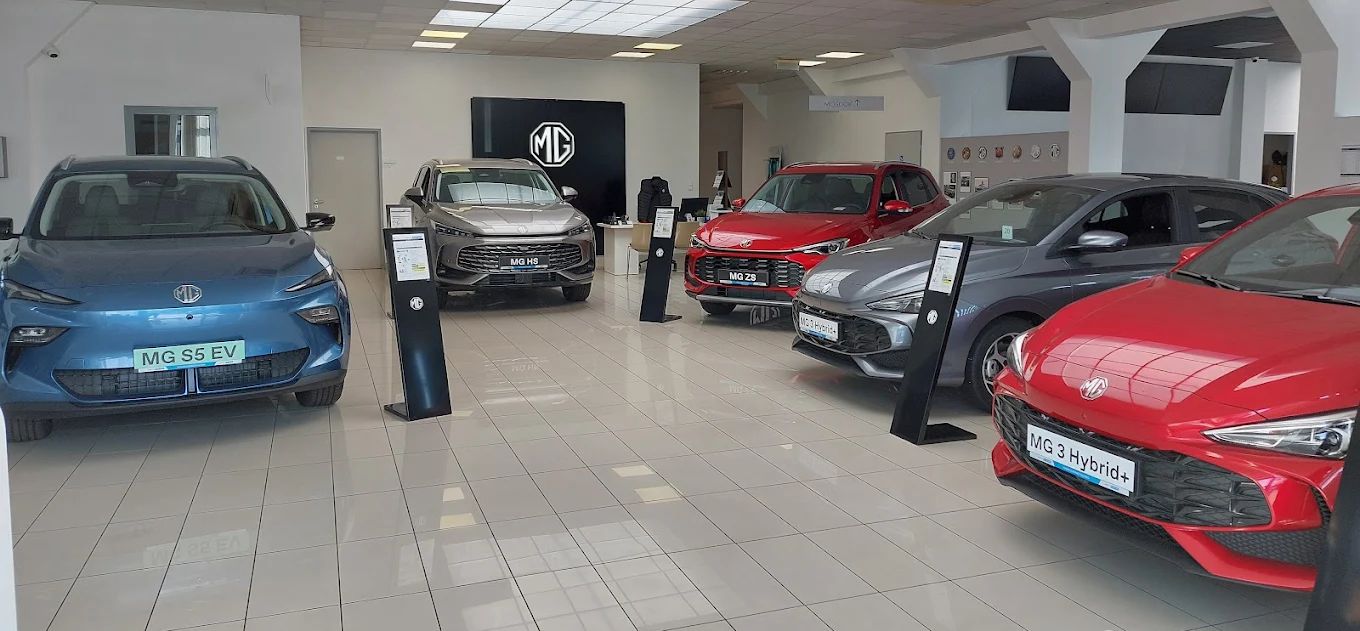 mg-modellek-cegeknek-carnet-auto-fort