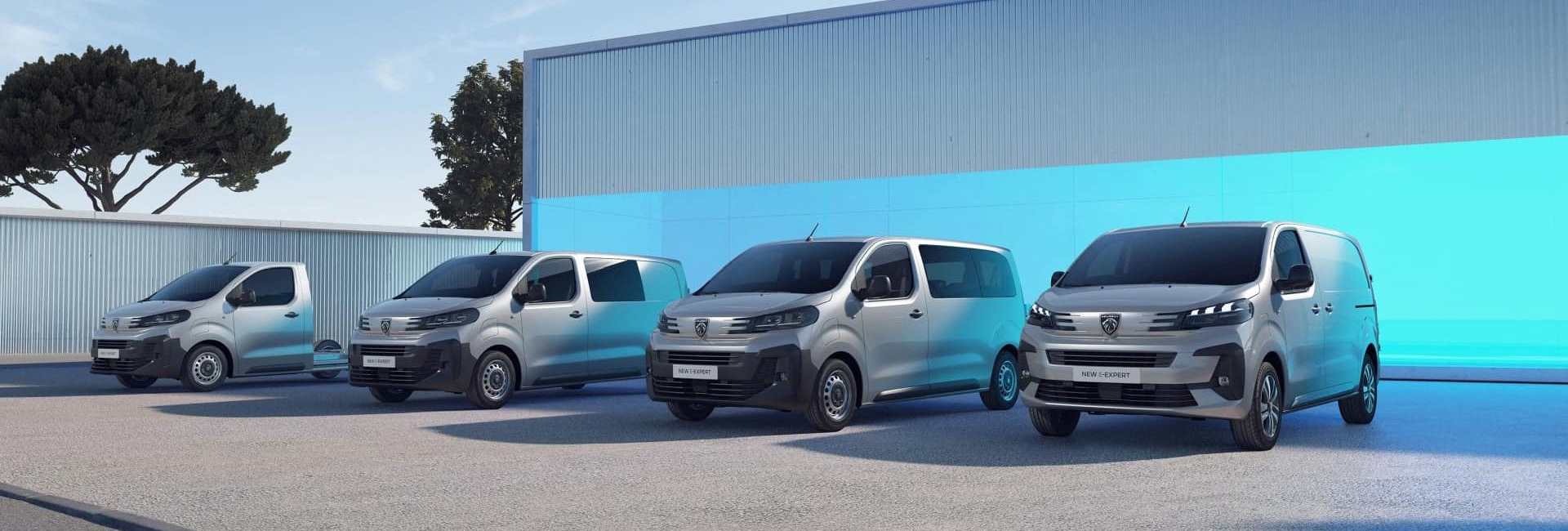 Haszonjármű Akció a CarNetnél!