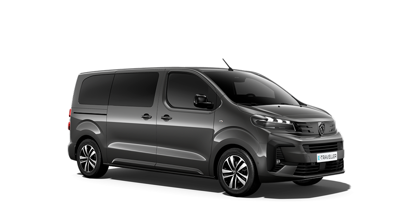 e-traveller